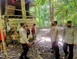 Polisi Geledah Gubuk di Tengah Hutan, Temuannya Bikin Kaget
