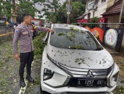Mobil Xpander Ketimpa Pohon Tumbang di Urimessing