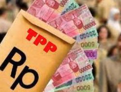 11 Bulan TPP ASN Buru tak Dibayarkan Pemerintah