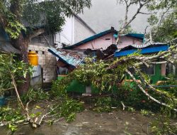 Saat Cuaca Buruk, Rumah Warga Batu Gajah Rusak Ditimpa Pohon