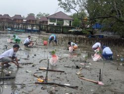 Pandawa Ganjar Bersihkan Lingkungan, Tanam Mangrove di Ambon