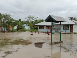 Sekolah Terendam, Banjir Hantam Puluhan Hektar Sawah