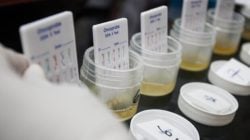 test Urine anggota DPRD Maluku