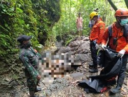 Hilang 5 Hari di Hutan Wanat, Nenek 80 Tahun Ditemukan Meninggal Dunia