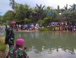 Prajurit Marinir Tangkap Dua Buaya Liar di Sungai Wailela, Satu Masih Berkeliaran