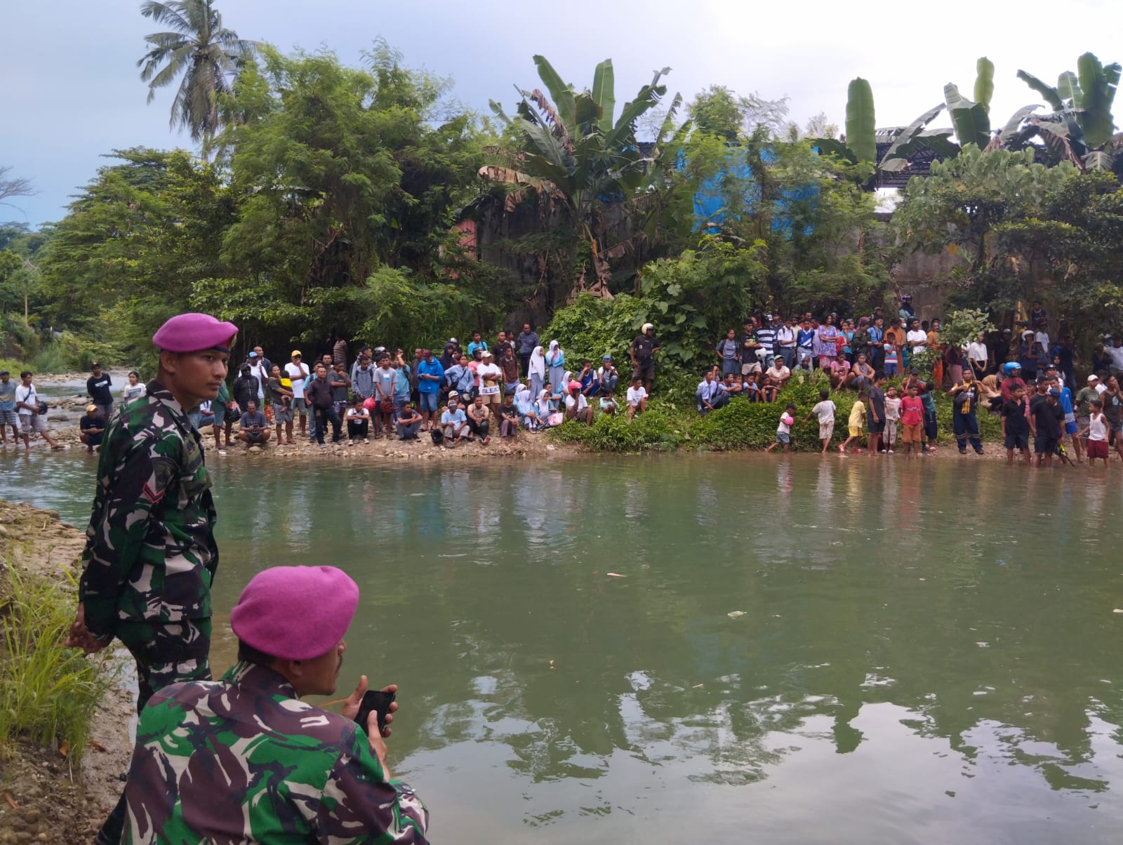 Buaya di Wailela Ambon