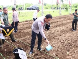 Kapolda Maluku Pimpin Penanaman 3000 Bibit Jagung di Dusun Hulung