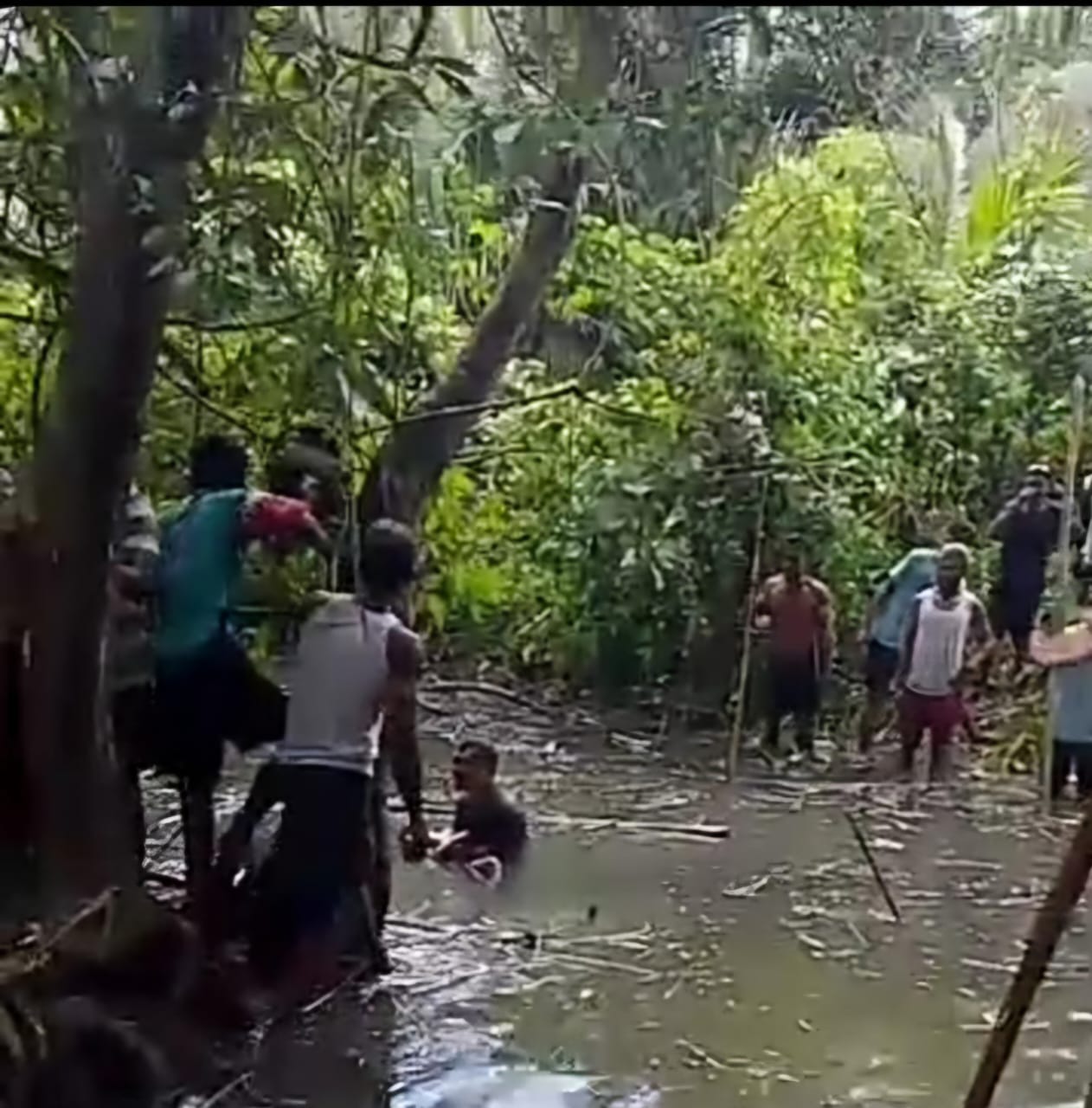 buaya di Pulau Buru